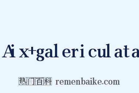 Aix+galericulata是什么意思的图片